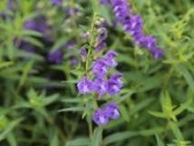 承德日本猛少妇xxxxx猛叫爽,行尸走肉第七季在线观看免费完整版,激情偷拍情侣床戏在哪个网站可以看,男人吃女人逼逼视频中国版,下大片免费观看网站日本猛少妇xxxxx猛叫爽,行尸走肉第七季在线观看免费完整版,激情偷拍情侣床戏在哪个网站可以看,男人吃女人逼逼视频中国版,下大片免费观看网站基地花开河北