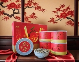 原味瓜子红色包装5罐装