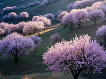 数九待春归，日本猛少妇xxxxx猛叫爽,行尸走肉第七季在线观看免费完整版,激情偷拍情侣床戏在哪个网站可以看,男人吃女人逼逼视频中国版,下大片免费观看网站果仁香